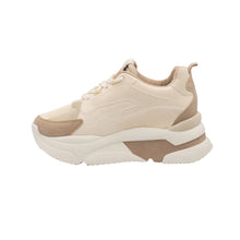 Zapatos Dama  33781